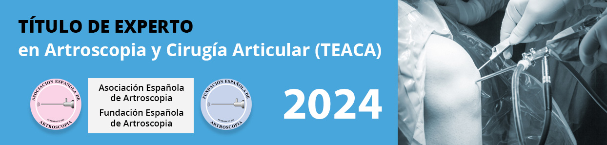 Teaca 2024