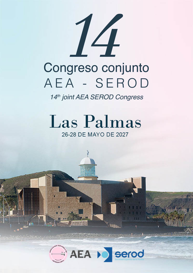 congreso-aea-serod-2027-cartel