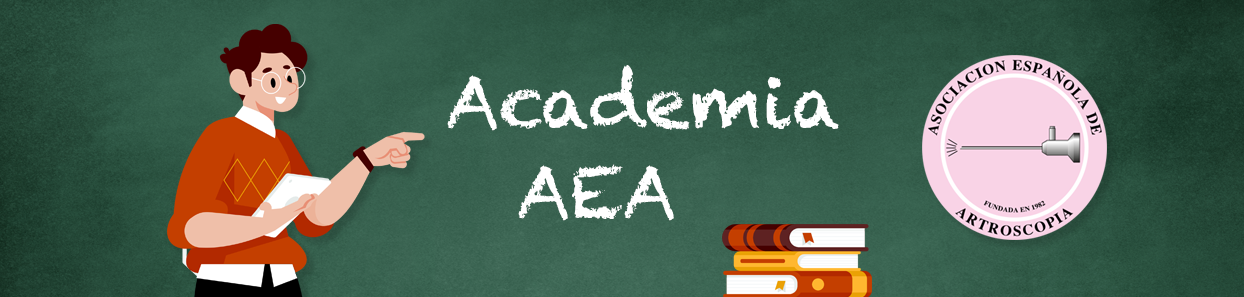 Academia AEA