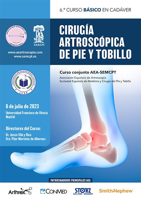 Curso Básico Pie Tobillo 2023