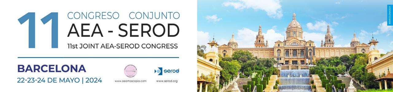 11 Congreso AEA-SEROD 2024