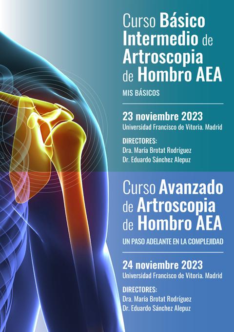 Cursos Hombro AEA 2023
