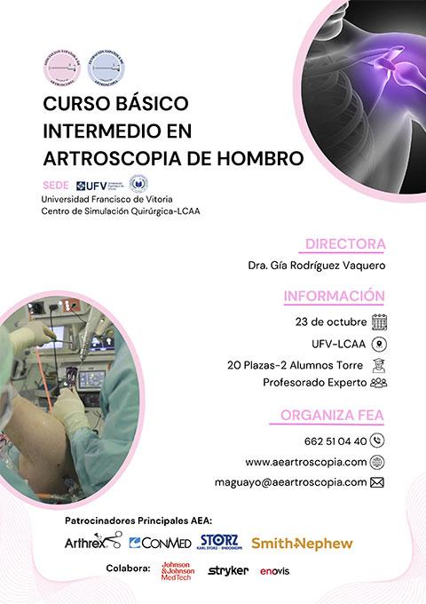 Curso Básico Artroscopia Hombro 2025