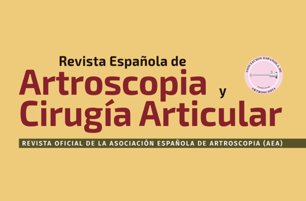 REACA Cabecera revista