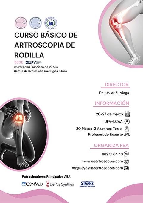 Curso Básico Artroscopia Rodilla