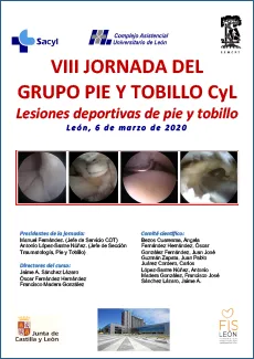 VIII Jornada del Grupo Pie y Tobillo CyL