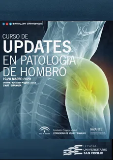 Curso de updates en patología de hombro