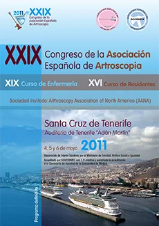 XXIX Congreso AEA