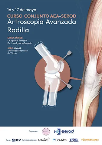 Curso AEA-SEROD Artroscopia Rodilla