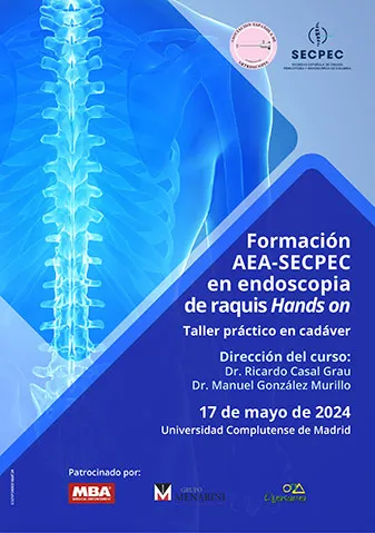 Formación AEA-SECPEC Endoscopia Raquis