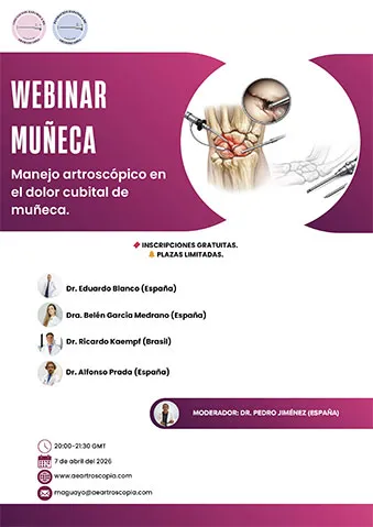 Webinar muñeca