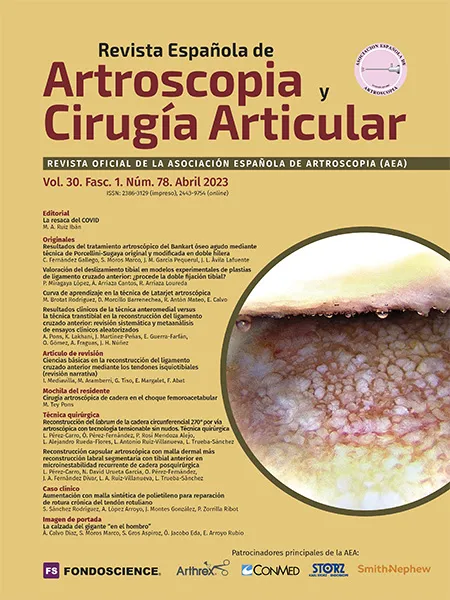 Revista Española de Artroscopia
